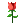 /-rose