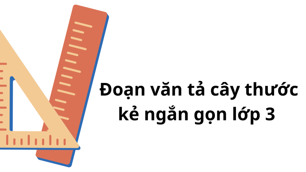 Đoạn văn tả cây thước kẻ ngắn gọn lớp 3 hay nhất