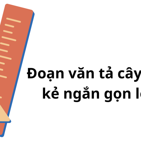 Đoạn văn tả cây thước kẻ ngắn gọn lớp 3 hay nhất
